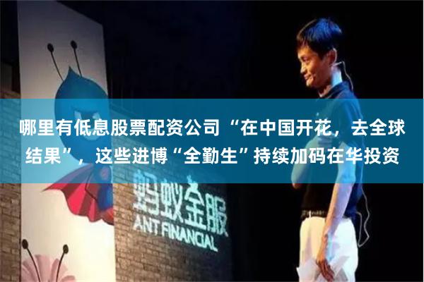 哪里有低息股票配资公司 “在中国开花，去全球结果”，这些进博“全勤生”持续加码在华投资